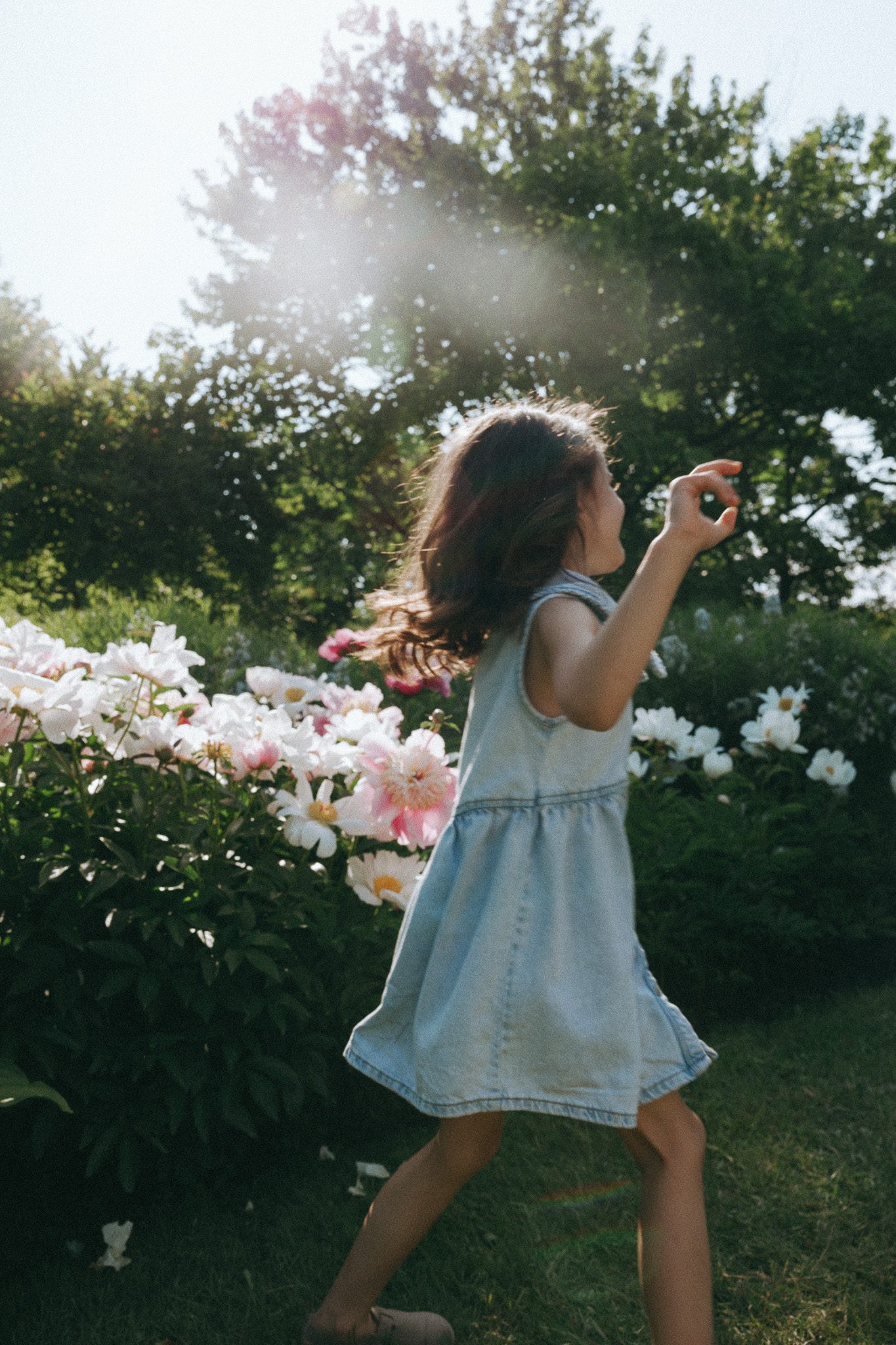 Girl dancing around flowers at the Jardin botanique de Montréal for a family shoot
