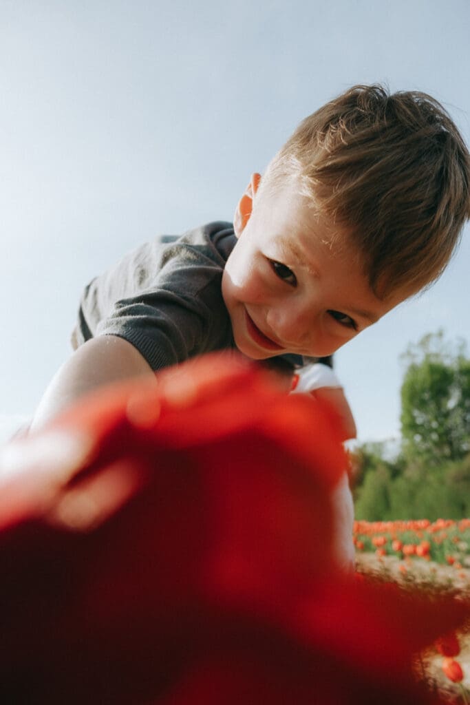 child holding a tulip for family photos in Montreal Quebec