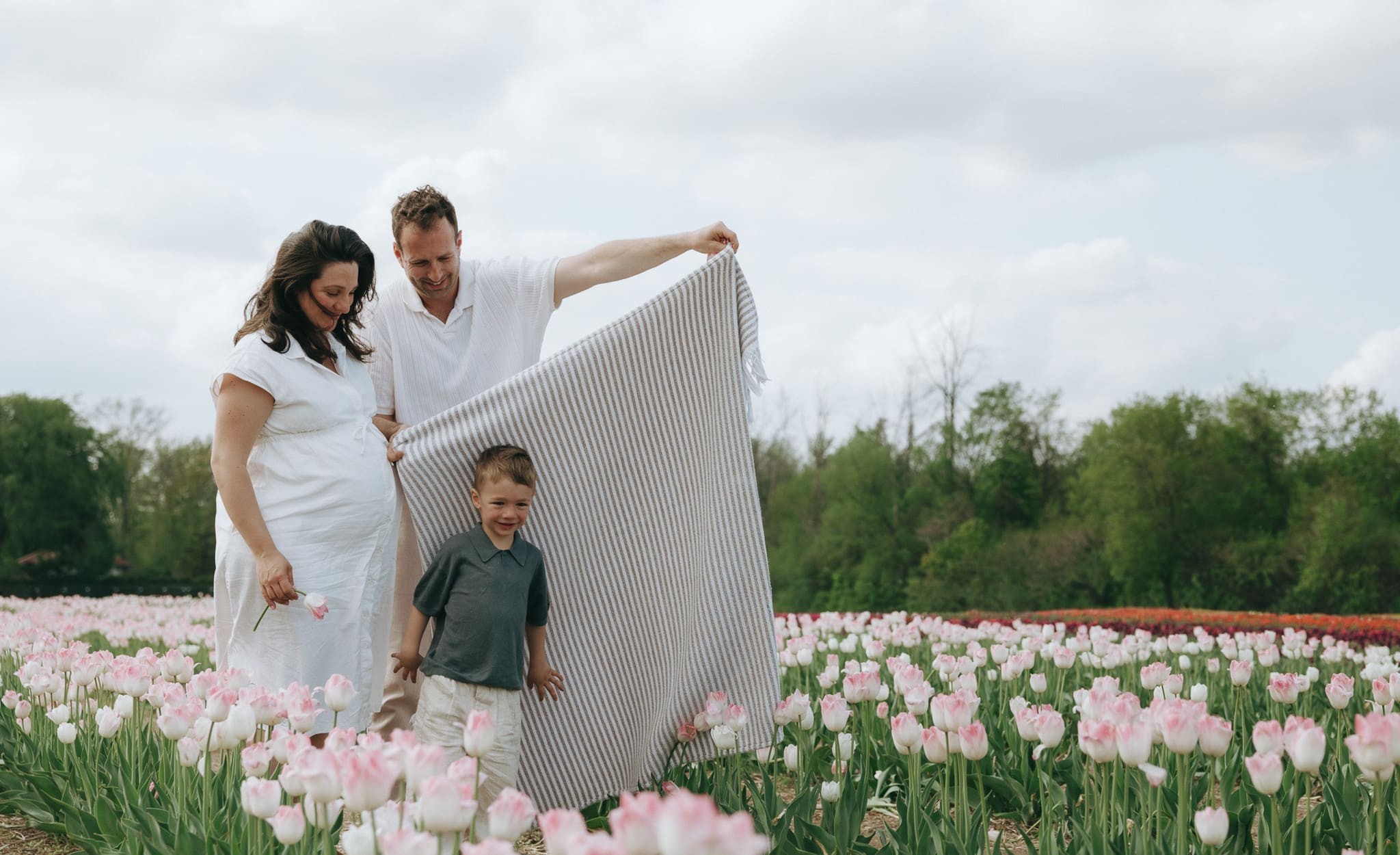 Parents playing with kid and blanket between a flower field in Montreal 