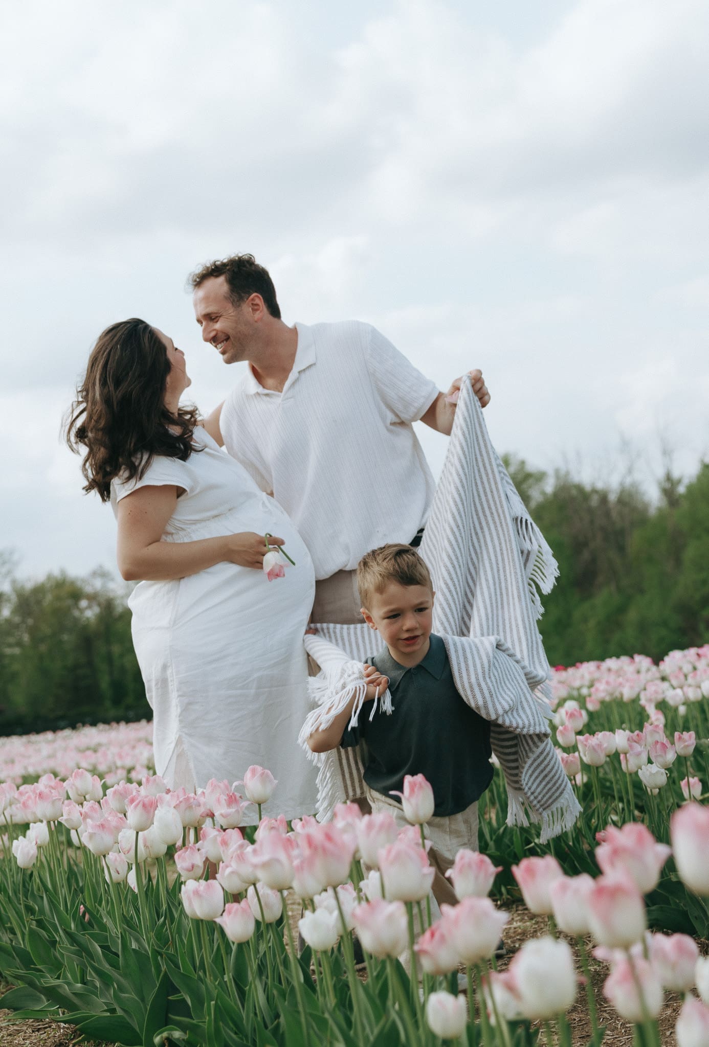 Parents leaning in for a kiss and child playing with blanket for a photoshoot in Montreal tulip field 