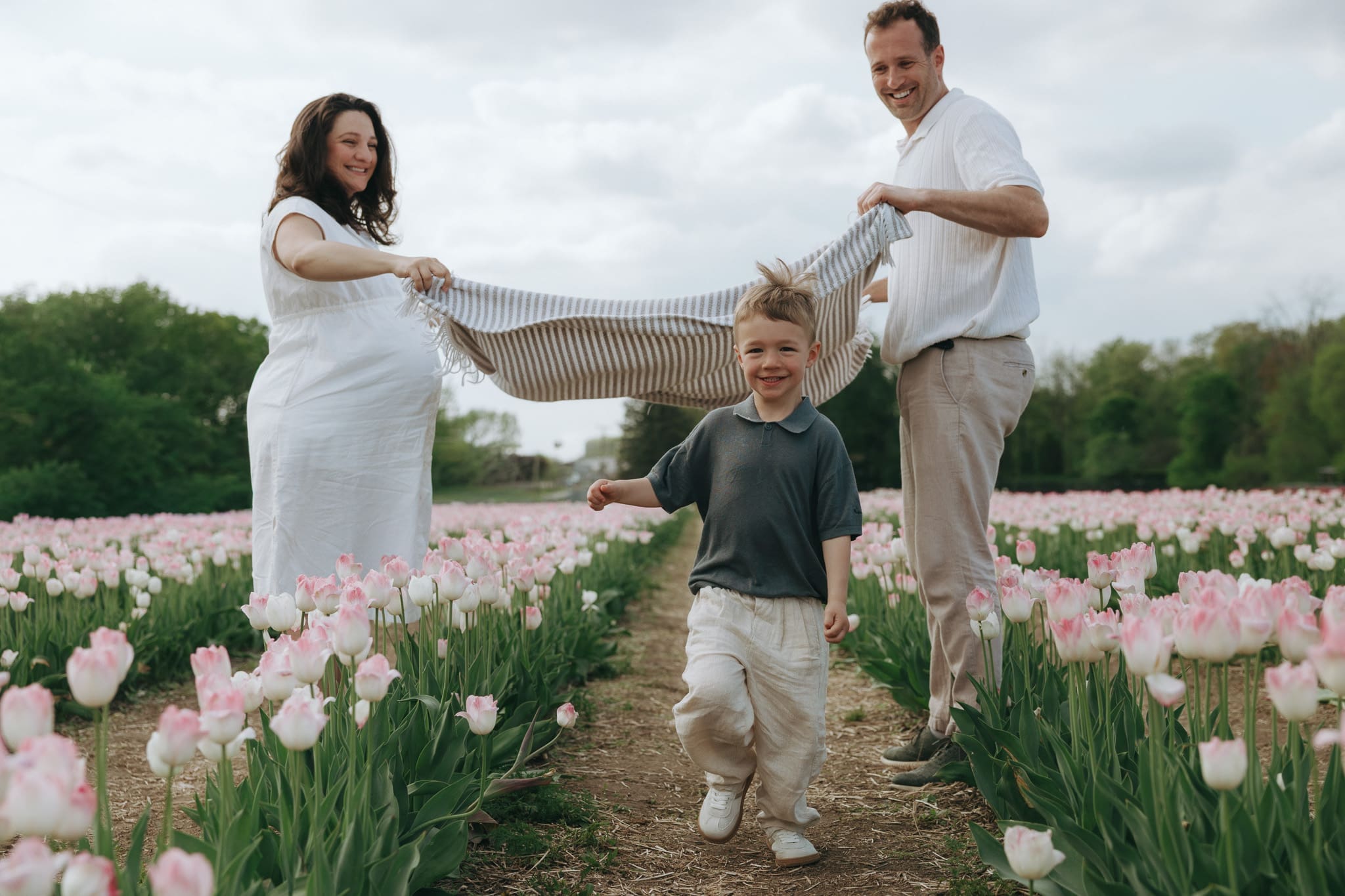 Parents holding a blanket and child running underneath in the tulip fields of Montreal 