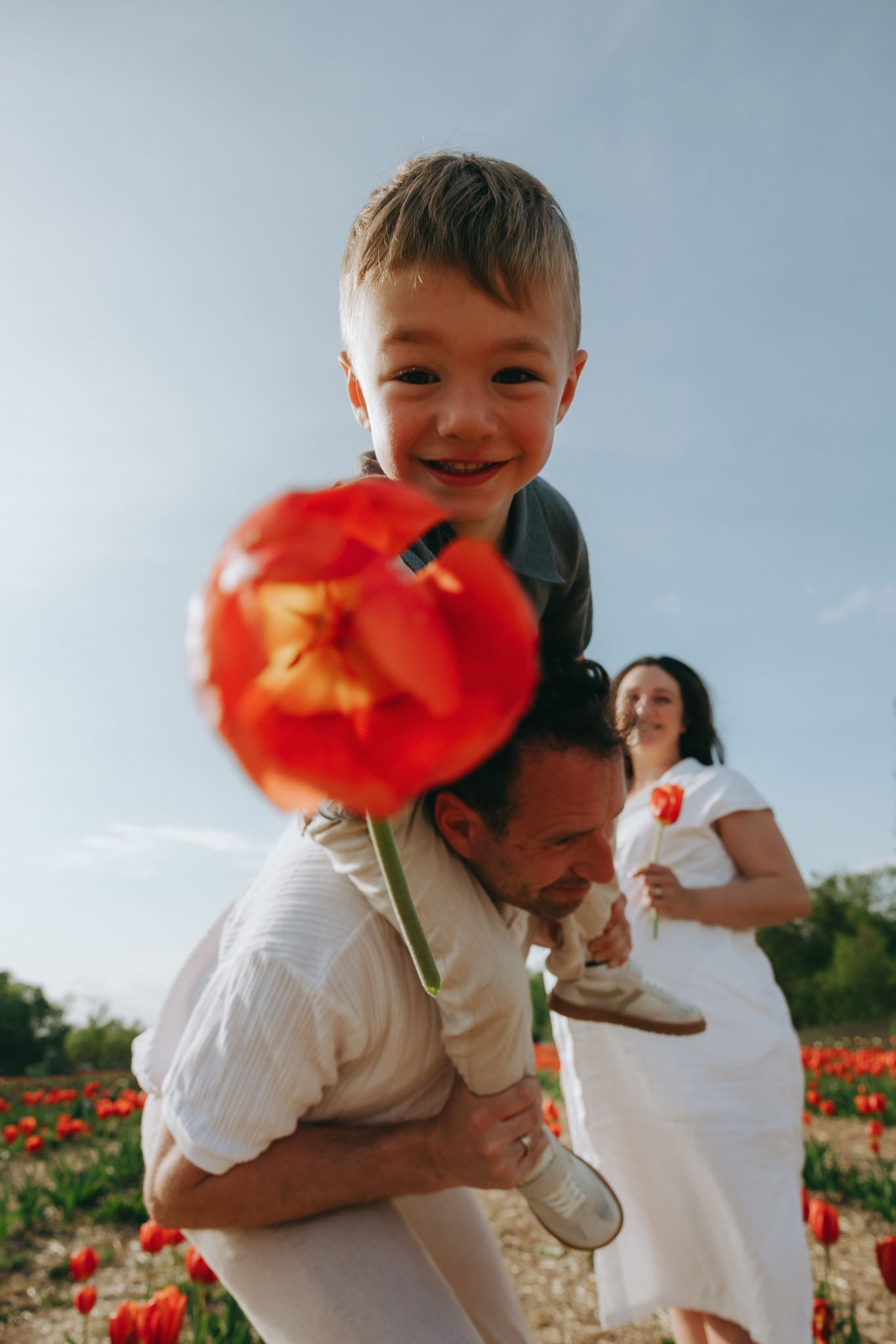Family enjoying a spring evening in the tulip fields during a Montreal family photography session